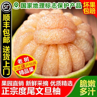 度尾文旦柚莆田仙游红心蜜柚孕妇当季新鲜水果（支持一件代发）