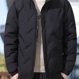 啄木鸟白鸭绒羽绒服男士春节中青年休闲运动轻薄时尚立领保暖外套