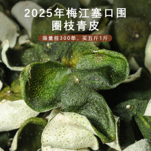 �V�|�خa���Ƥ ÷�����ڇ�Ȧ֦���Ƥ 2025��|��ţ�ȇ���Ƥ