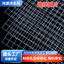 镀锌网片工地抹灰网地暖加固防裂网片热镀锌铁丝电焊网片批发