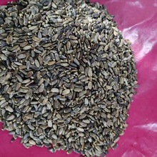 水飞蓟中药材水飞蓟水飞蓟籽水飞蓟子奶蓟手工挑拣新货上市五味子