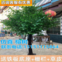 仿真榕树仿真大型植物装饰大厅实木树仿真绿榕树植物室内花假树