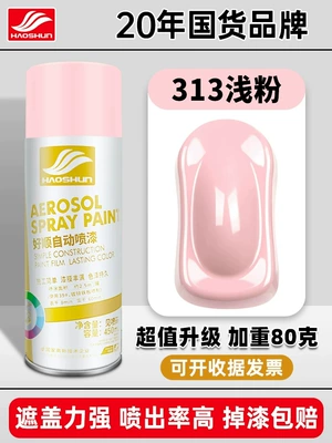 Avtomobil boyası – Matte Hand-Shaken Spray Paint Can - light-pink-450mlbottle