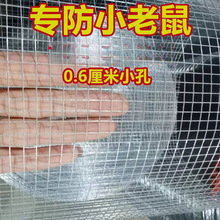 防銹小孔鐵絲網防鼠鋼絲網防貓網養殖雞網陽台防護網多肉電焊網