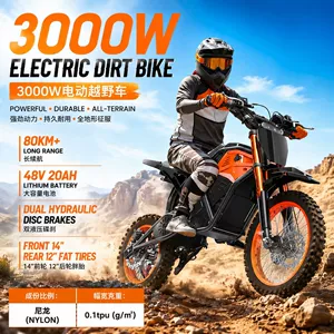 ABŞ anbarında 60V20Ah yüksək güclü elektrikli off-road motosiklet, iki təkərli velosiped