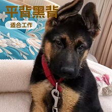 ���N������Ȯƽ���ڱ�������Ȯ��Ȯ܊Ȯ�����ǹ��CȮ���ﹷ���w