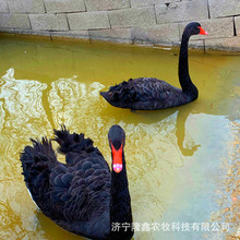 �������^�^�p�����Z �����Z������Z���w��������Z�����Z�N��