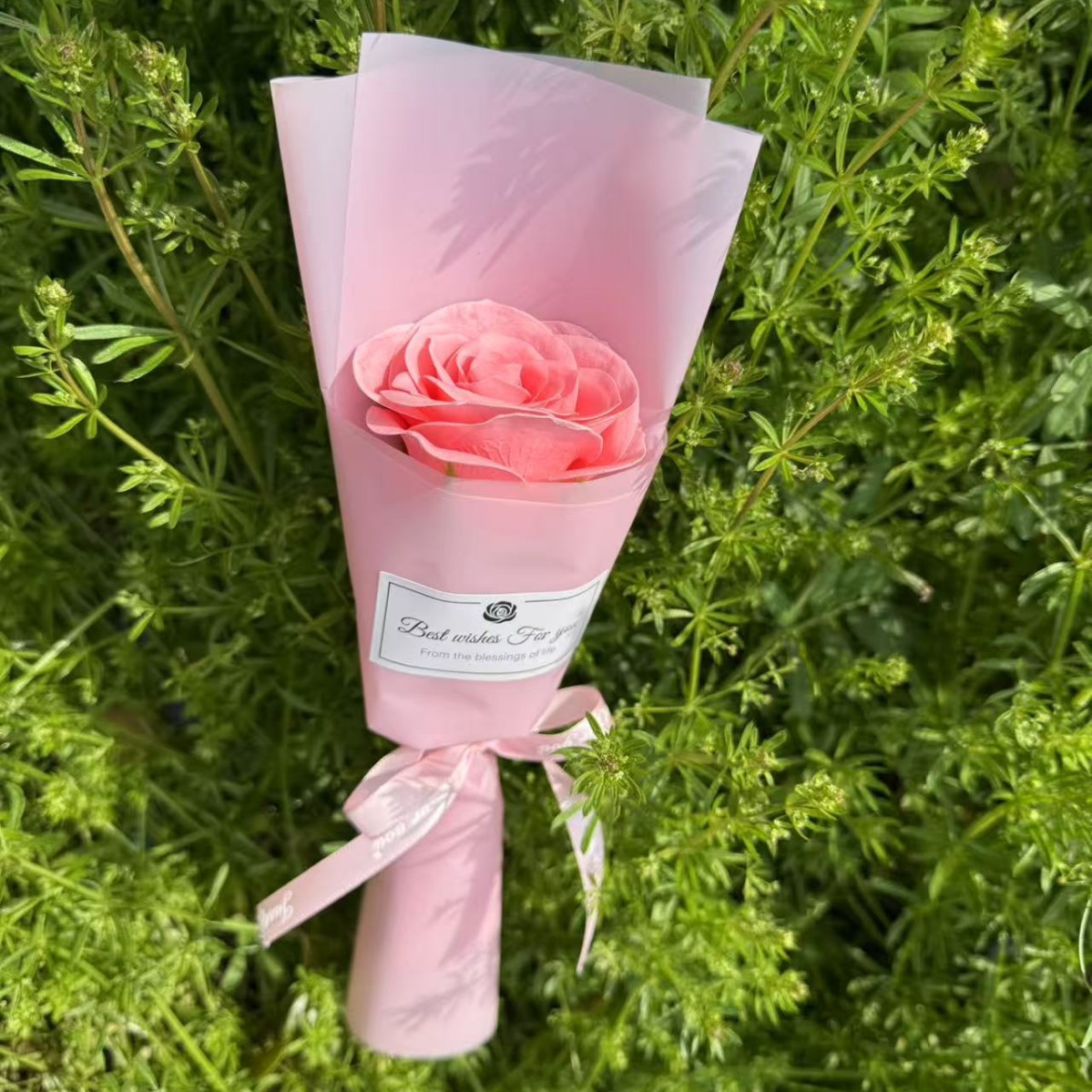 웨이크 업 로즈 핑크