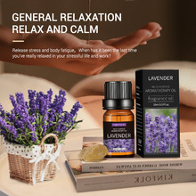 �����ԏͷ����� aromatherapy oil ��Ħ���� ޹�²ݾ������¿՚�