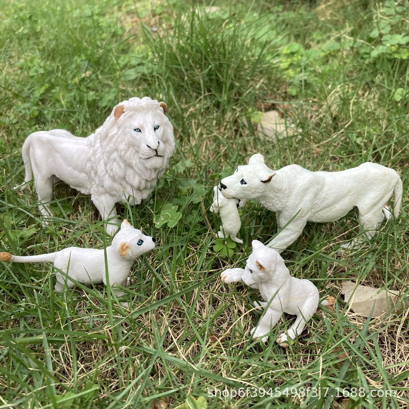 Children's Wild Animal Model Solid Simulation White Lion Male Lion White Female Lion Cub Lion Set Toy Ornaments