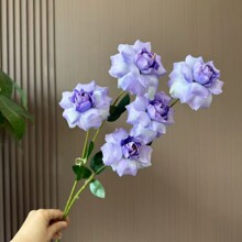 5�^����õ������c�û��߼��л�Y�Ҿ��b��LĪ�λ��@�ٻ�