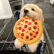 ������߰l���_푼�ë�q�����Ȯ��ë�ɐ����Ӗ���»�ĥ����Ʒ