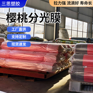 Agricultural Cherry Light-Diffusing Film Greenhouse Film, Drip-Free Thermal Insulation Greenhouse Film for Fruits and Vegetables, Cherry Windproof Light-Diffusing Film