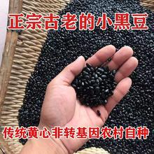 豆芽泡生雄品种自产黑豆豆浆农家黄芯肾形批发小黑豆打黑豆扁老醋