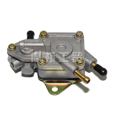 Pressure Oil Pump Buyang 250 – Motorcycle engine and accessories
