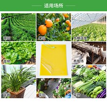 ճ�x���S���p��ճС�w�x���@��ω�T����������nω�N��ճ��ճω��