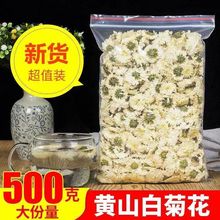 黄山贡菊清/热下火白菊花去火杭白菊花茶新货包邮包邮