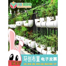 PVC�ܵ��Nֲ����^��h�������̨�N�˾Gֲ�b����B�~�ܵ�����