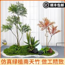 ����������ֲ��٘�����b����̈��Ƶ�Gֲ�S��҃��쾰