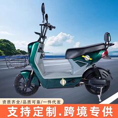 新型クロスボーダー理想二輪電気自動車通勤代行48v通用ハイパワー電気自動車