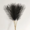 Black 55cm