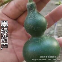 ī�GС���J�N�������J��������С���J�N�����恆���N�������̨