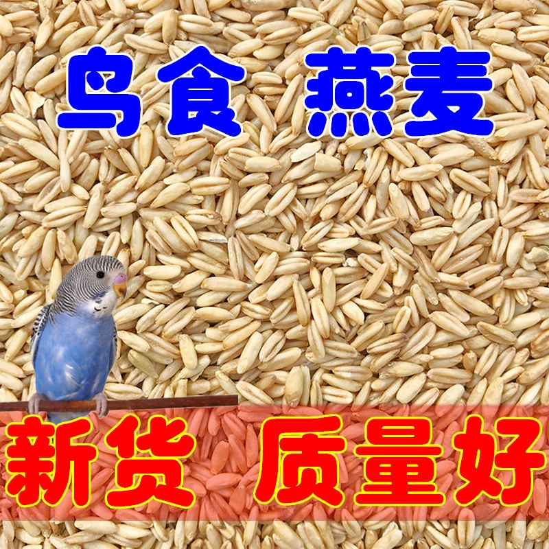 Новый овсяный рис, тигровая шкура, пион, Xuanfeng, корм для птиц, корм для птиц, просо с оболочкой, смешанное зерно, корм для попугаев