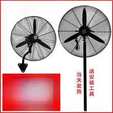 ILȏȴLţȴʙCеu^Sñڒʽ