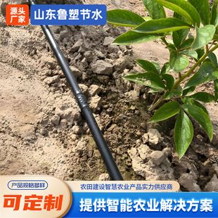 �r�Ã�肈A��ʽ��ˮ��16mm���ш@ˇ��ȵι�ܴ�������ȵι��