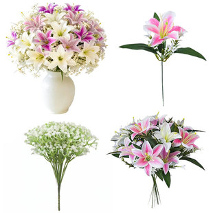 ����ٺϝM���ǽM�Ϸ��滨���ϝM�����b��������������ٻ����l