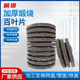 页轮、页片;磨片、切割片;磨头