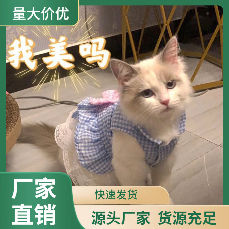 宠物服装猫裙子夏天公主风兔子衣服蕾丝狗狗背心泰迪博美可爱春秋