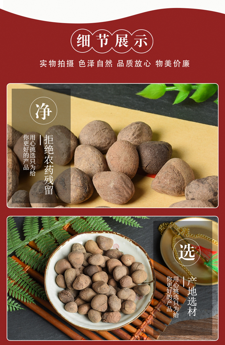Da Feng Zi (Hydnocarpus anthelminticus) — Dried Chaulmoogra Seeds, Raw Herb Supply key features