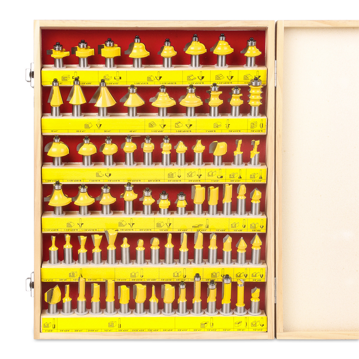 Main Figure 10.jpg