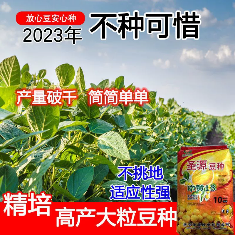Zhonghuang 13 Высокоурожайные Семена сои Крупнозерновые засухоустойчивость, устойчивость к заболачиванию, стабильная урожайность, высокая урожайность Оптовая торговля Север-Юг Общие семена Карликовый запас Термостойкость