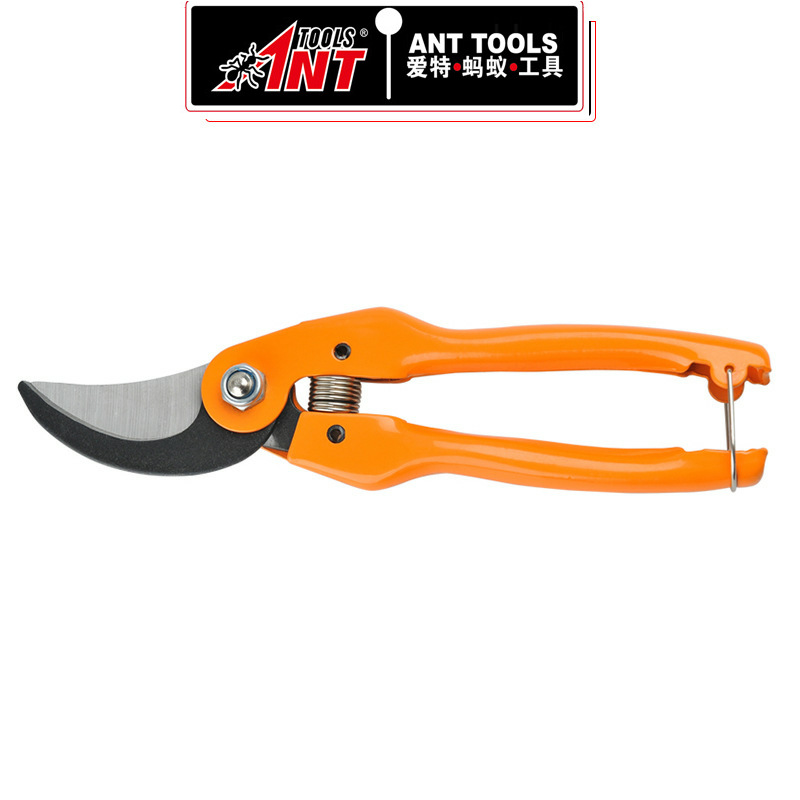 花园剪园艺剪五金工具 花枝剪修枝剪树枝剪 园林花枝果树修枝剪子