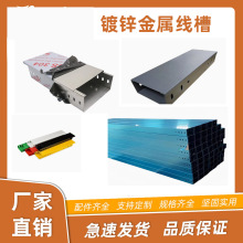 �A�̏S�Ҍ��I���a ֱ�N���P䓲�ʽ��|��� ���N���|Ҏ���A�̾���