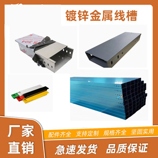 �A�̏S�Ҍ��I���a ֱ�N���P䓲�ʽ��|��� ���N���|Ҏ���A�̾���