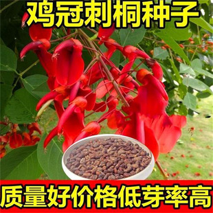 �²��u�ڴ�ͩ�N�� ������ͩ �u�ڶ��N�� �����t �u�ڻ���N�Ӱ��]
