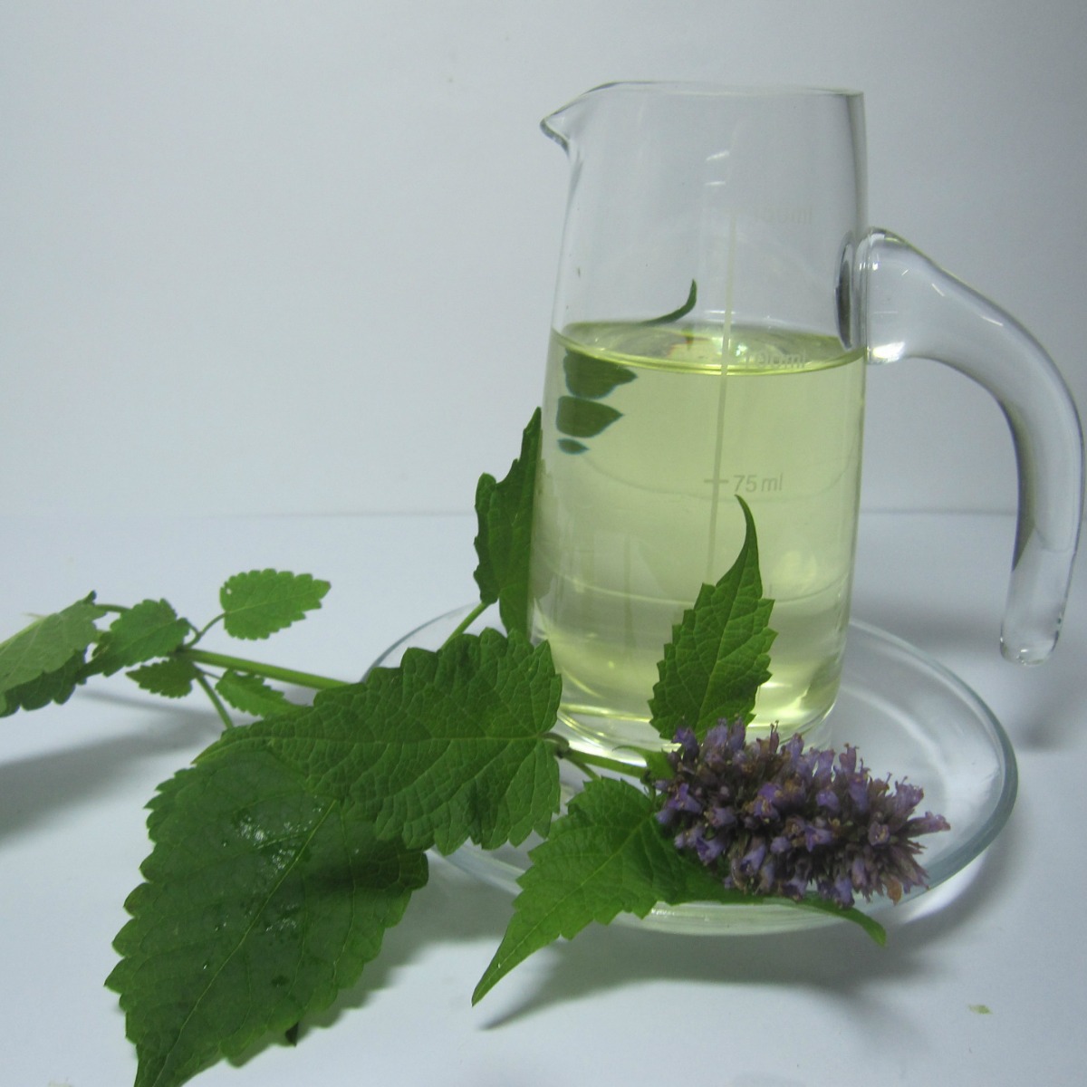 ������  ɨ����  ֲ��ӷ���