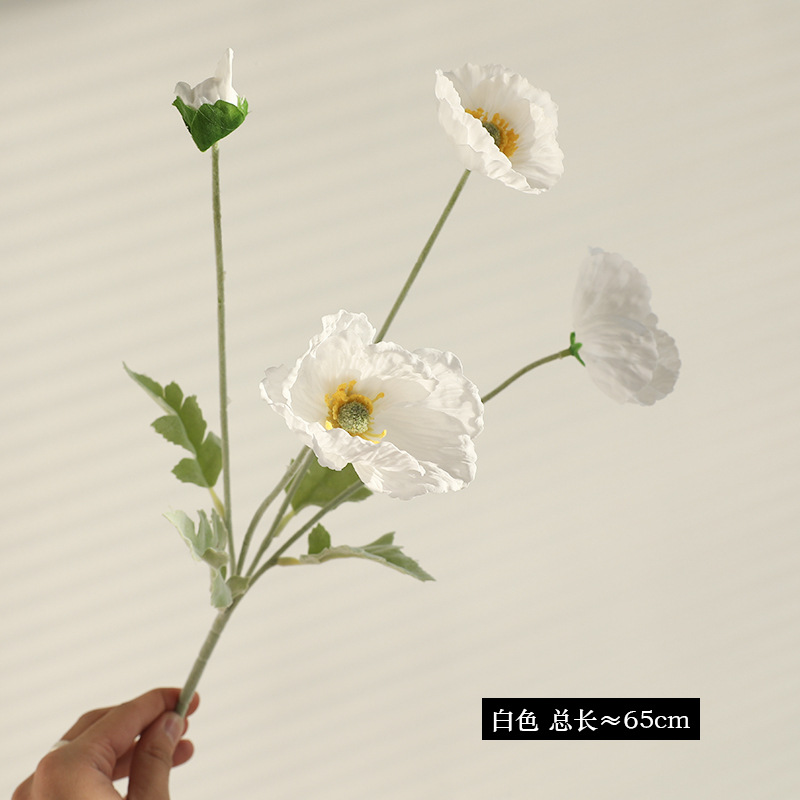 하얀색