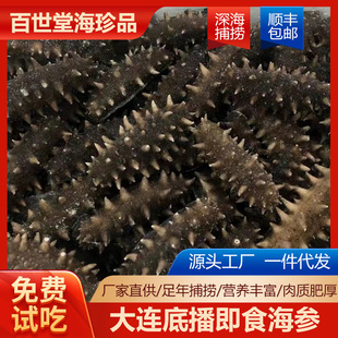 ��S���]���B����Ƹ߉���ʳ����500g�̅�ˮ�a��؛��ʳ�����Y��