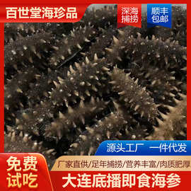 顺丰包邮大连深海捕捞高压即食海参500g刺参水产干货即食海参礼盒