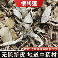 �y��ɏ��ș�� ���~�m С�~�� �y���B�䱳��ș���l