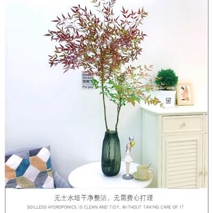 ������ˮ��������Ե��R�͏d�R��ľƽ���҃�����Gֲ���Bֲ��