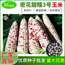 �����ܻ���Ŵ3̖�����׷N�Ӈ�����ճ���㻨Ŵ���׷N�Ӱ����ȷN��