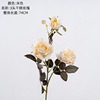 Fake flower INS Feng Home Decoration 3 Dried Rose Impropon Flower Manufacturer Cross-border Wedding Wholesale DY1-3320A