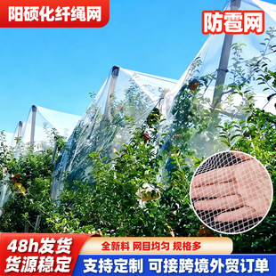 �����W���@�������љ���0.8cm���η�����ܼӺ���o���������B�W