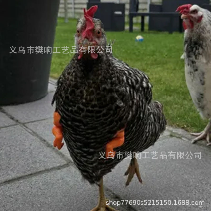 筋肉質の腕を持つ面白い猫面白い筋肉質の手と開発された腕クリエイティブな猫の首飾り|undefined