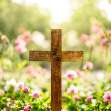 ľ�|����o��ʮ�ּ�Ĺ��Ĺ���b���ľͥԺ�o��[���������Ʒ